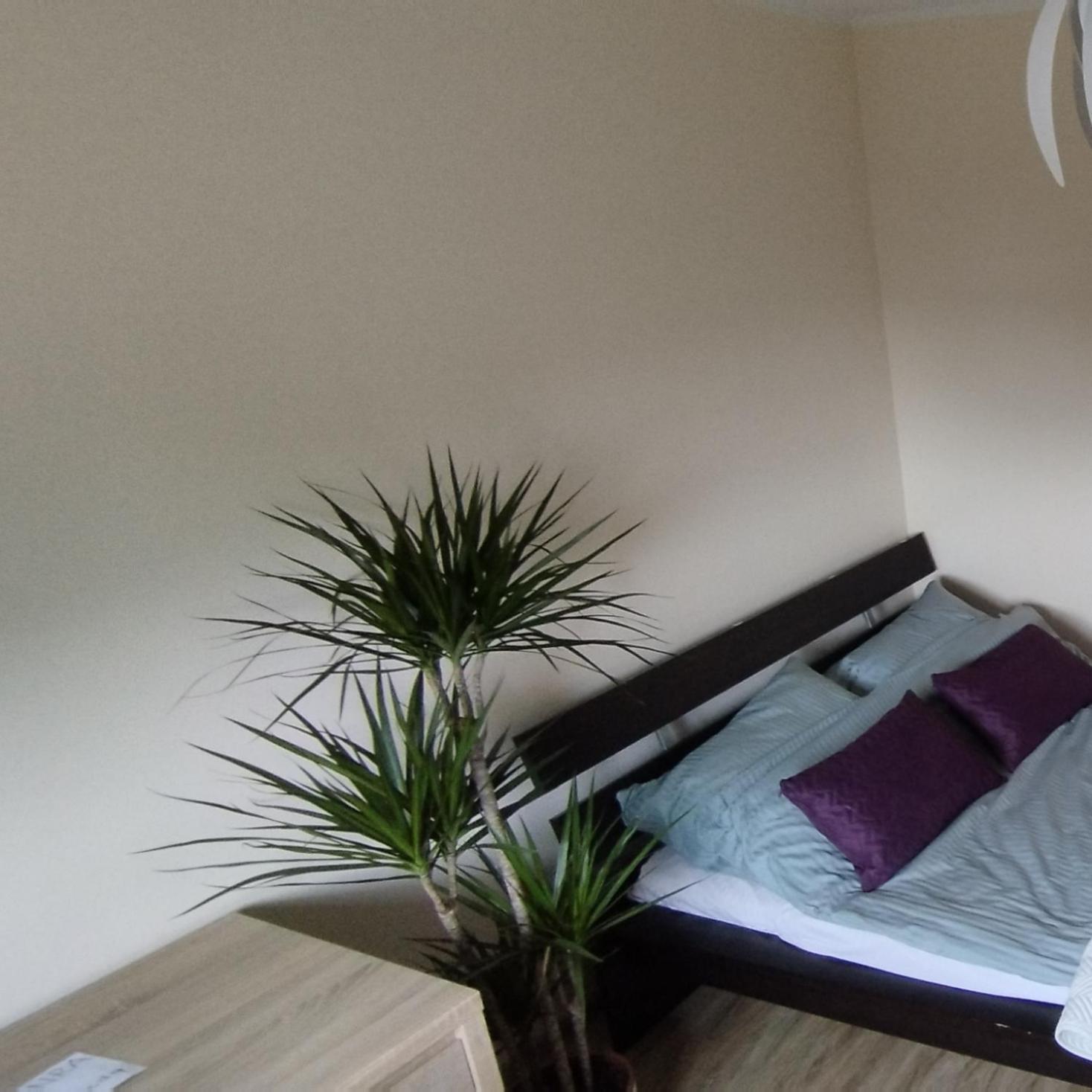 Apartament A8 Gdynia Orlowo Exterior photo